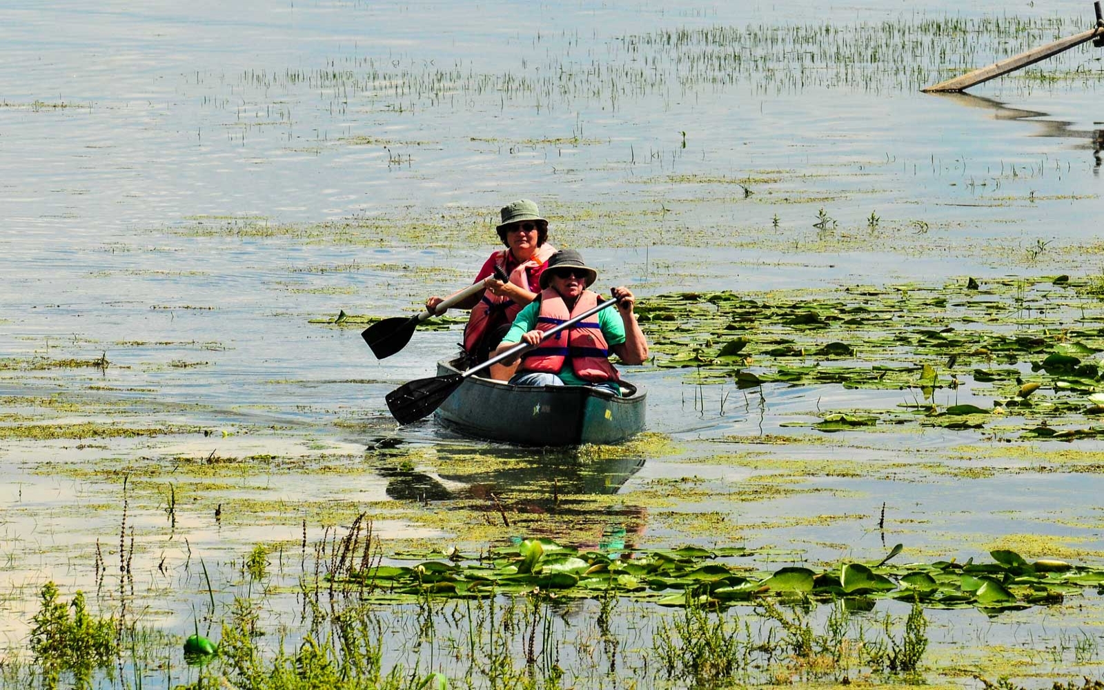 TOUR WITH CANOE